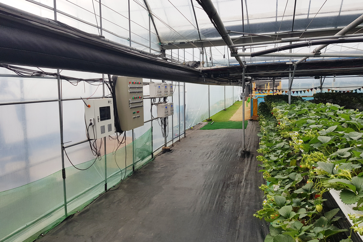 植物培育溫室監控一氧化碳溫溼度濃度 植物培育溫室監控一氧化碳溫溼度濃度