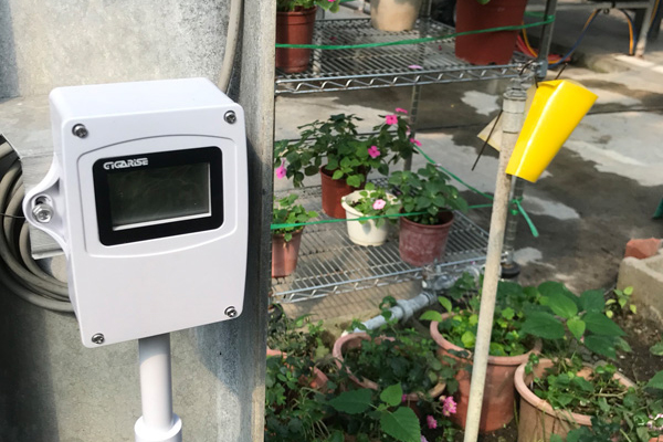 溫室植物栽種釋放二氧化碳濃度偵測 溫室植物栽種釋放二氧化碳濃度偵測